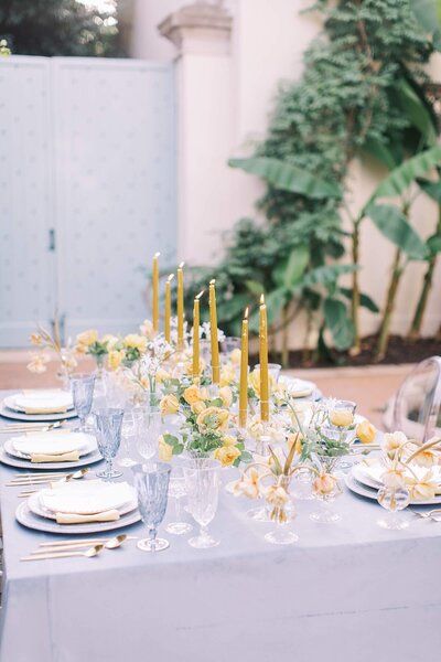 luxury_virginia_wedding_planner_best_virginia_wedding_planner_charleston_wedding-planner_Richmond-wedding_planner_charlottesville_wedding_planner_alyson_taylor_events_0591