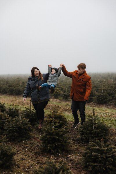 Vater und Mutter schwingen Kind über einen Tannenbaum