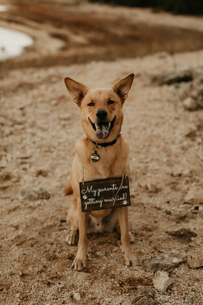 Alyssa_Bobby_Engagement_Session_9.30.20-69