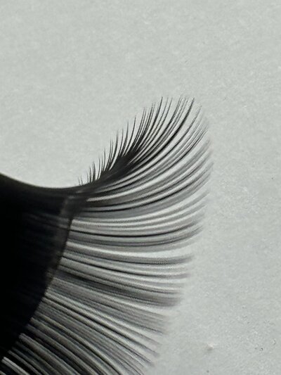 Diy Lash Extensions Vs Lash Extensions Showit Blog