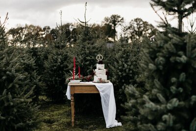 De bruid draagt witte henna, trouwjurk van de Bruidszaak in Purmerend en  leerjasje van Aim Your Weddings