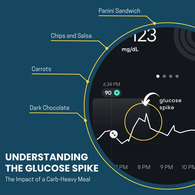 Team member headshot