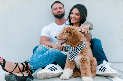 Photographer Captures closeup of golden doodle puppy with couple out of focus behind him