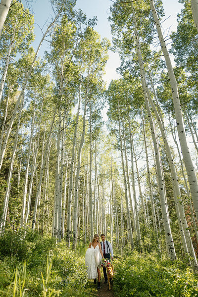 Colorado elopement couple hiking through aspen trees to have their dog sign their marriage license in a field of wildflowers
