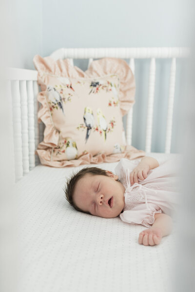 newborn portrait posed in crib