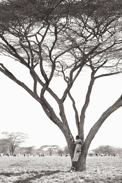 Desert-Song-Compositions-of-Kenya-Drew-Doggett-Nonguta-and-the-Tree