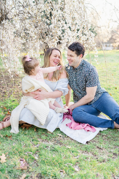 A family of three sitting under a cherry blossom tree in full bloom in Delaware