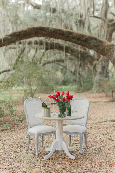 Charleston Proposal Photographer | Laura and Rachel Photography