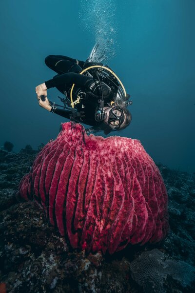 Blonde Scuba Diver Girl with old school round mask on top of head with water and pink coral background