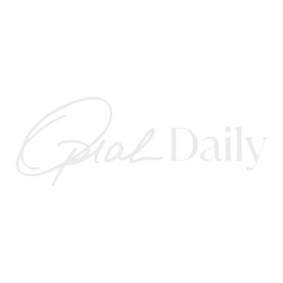 Southern Living logo featuring a stylized design that embodies Southern culture and lifestyle.