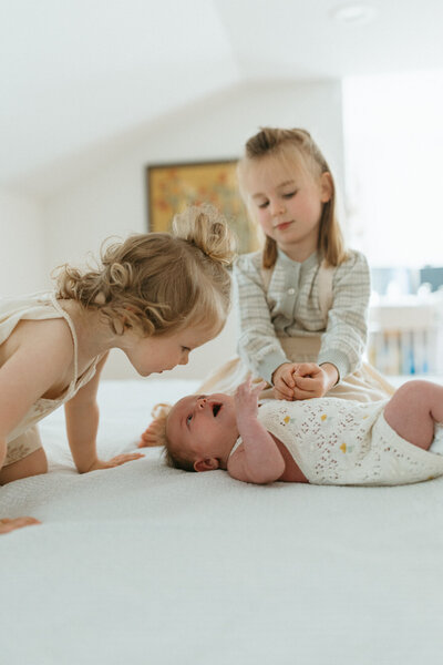 Arlington newborn photographer 