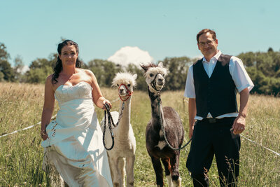 Ein zauberhaftes Brautpaar lächelt, während es liebevoll zwei Alpacas in den Händen hält, die ihre Hochzeit zu einem unvergesslichen Abenteuer machen.