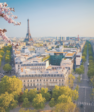 Sunlit Paris street with the Eiffel Tower visible in the distance. A cozy, romantic Parisian scene.