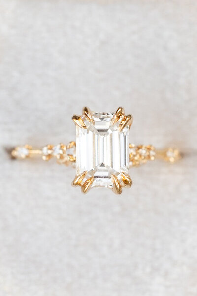 Ariana & Franc - Proposal-7231