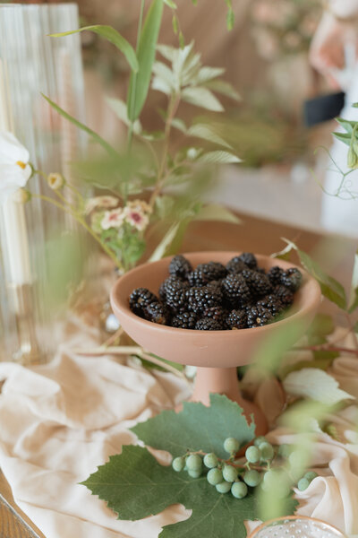 utah wedding and family photographer