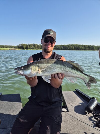 Asiakas esittelee kesäpävässä isoa siikaa, jonka on saanut kalastusretkellä