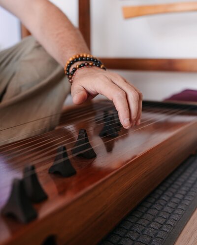 Les cordes de l'Anantar