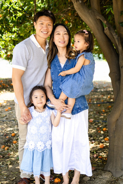 Family of four cuddling under orange trees in natural light – Bay Area Family Portfolio - Ellobelle Photography Family Photographer