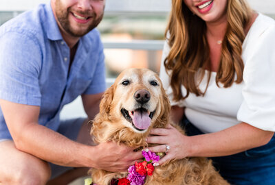 happy dog with man and woman