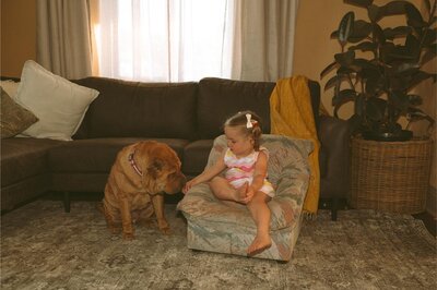 Family-photography-Collie-3704