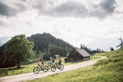 People cycling through scenic Alpine trails, enjoying outdoor adventure and team-building activities at The Campus Alps.com, perfect for private getaways and company retreats