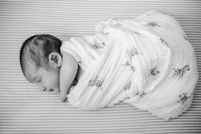 Newborn_Children_Fresh_48_Photography_Maryland_Northern_Virginia_Nellamor_Portraits_001