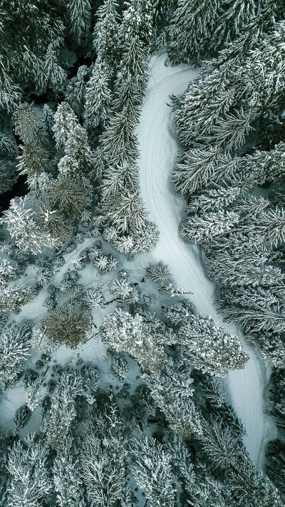 Drone view of a snow-covered pine forest and winding trail, captured by Joseph Mayden as part of his winter aerial landscape photography print collection.