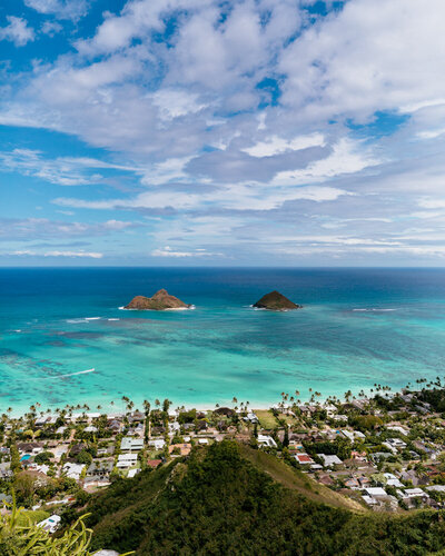 view of ocean with small islands and palm trees