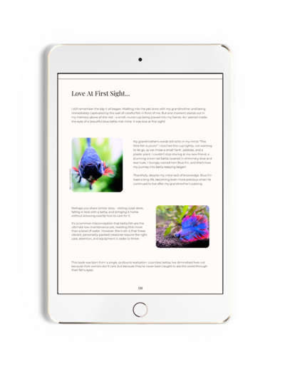 Example photo of a page found in the main ebook