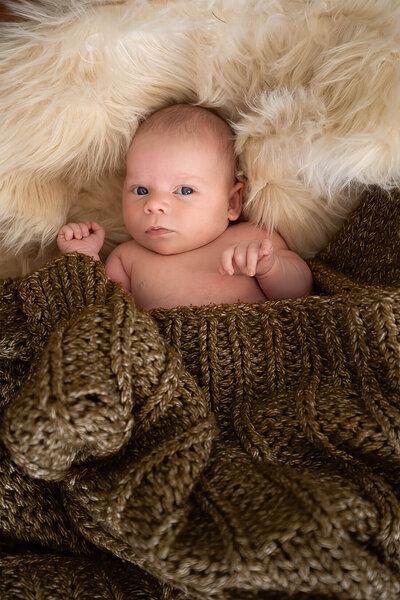 A newborn looks straight at the camera during a Wakefield newborn session.