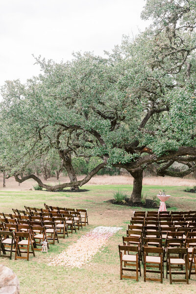 Wide angle view of the wedding ceremony outside with an ombre trail of roses on the grass aisle at The Ivory Oak in Texas