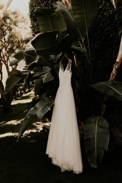 bride's dress hanging in palm trees