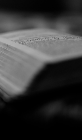 Zoomed in photo of a book