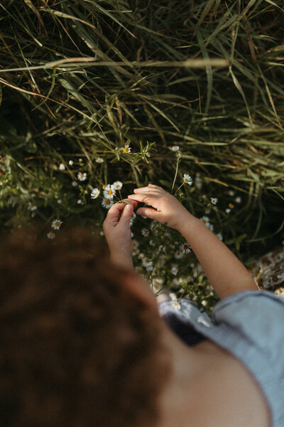 Boston family photographer