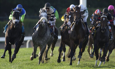 Thoroughbreds rounding the turn in a horse race.