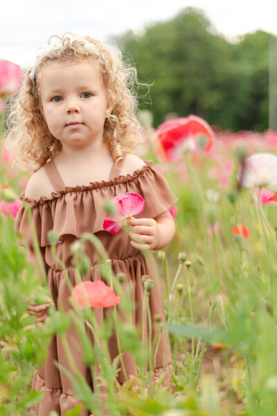 Young girl looking at flowers standing in a poppy field