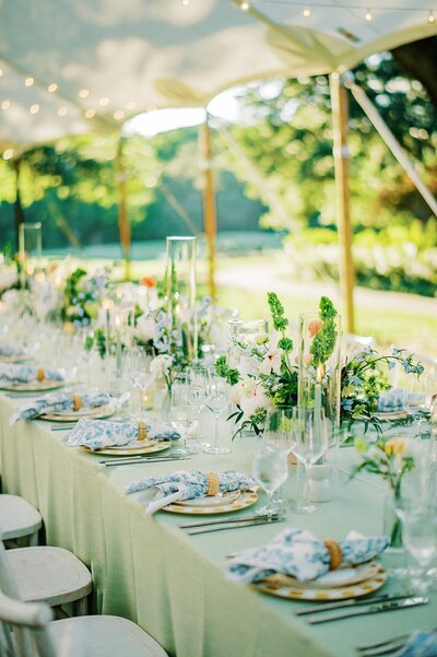 Yeamans-Hall-Charleston-East-Coast-Wedding-Photographer-Lauren-R-Swann-photo_0057-photo