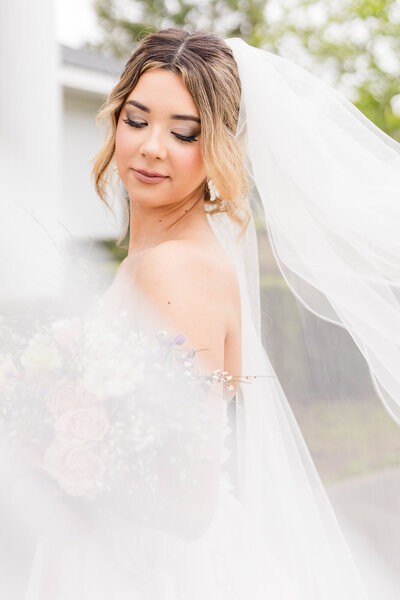 Bride with a veil