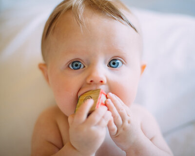 Ainsley-Greene-Showit-Template-Family-Photographer-23