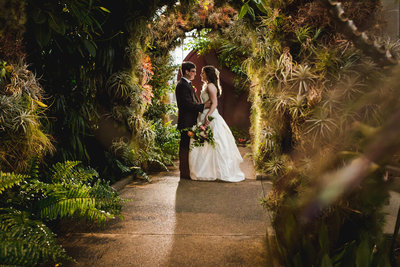Emily and Paul Daniel Stowe Botanical Wedding -485