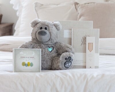 TeddyBear-2023-11-22-8-2