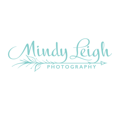 MLP_Full_Logo_Tiffany_Large