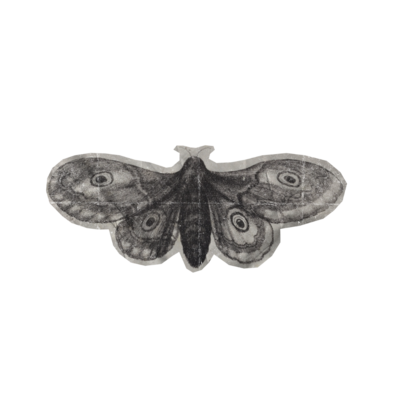 Black and white moth graphic