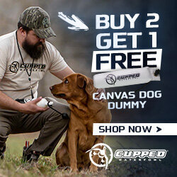 Cupped-DogDummy-buy2get1-2-avantlink-250x250