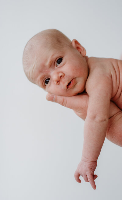 newborn photography in Indiana