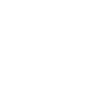 ChickenM5-LARGE