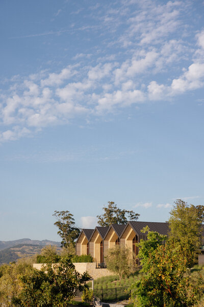 Stanly Ranch Auberge Napa Valley landscape