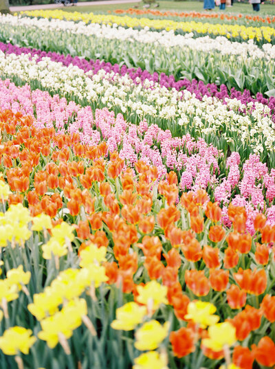 social-squares-bright-bold-color-styled-stock-image032