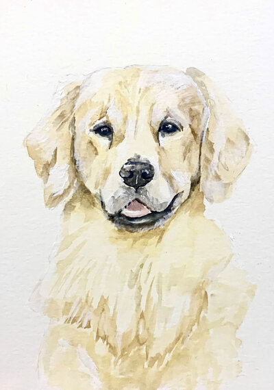 Watercolor golden retriever