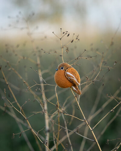 fotografie plstěné brože oranžového ptáčka sedícího na stéble trávy
